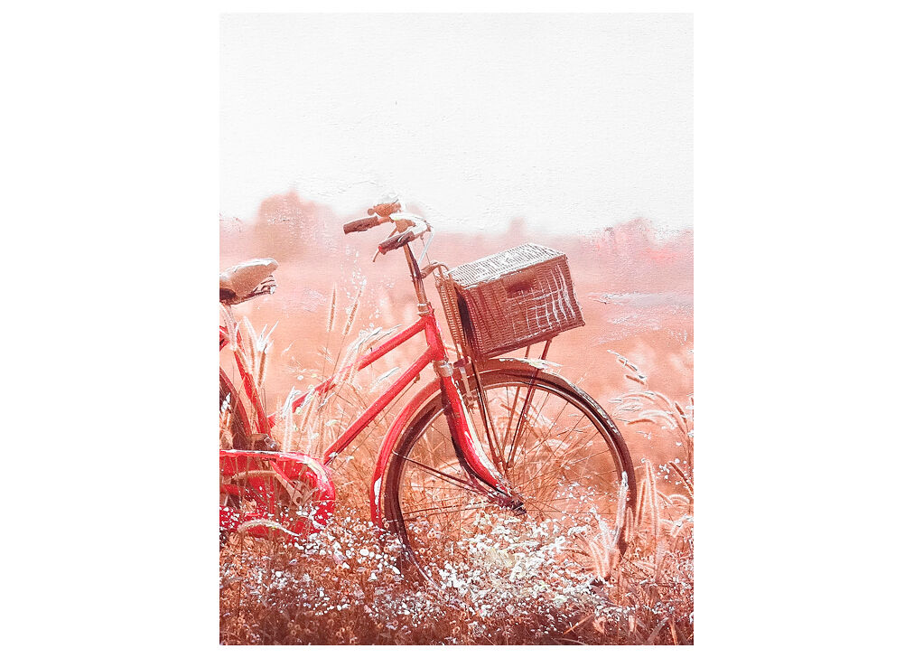 Pintura original BICYCLE 2,5x60x80cm