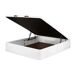 Sommier abatível LIVING MOLAFLEX semi pele Sommier abatível LIVING MOLAFLEX semi pele