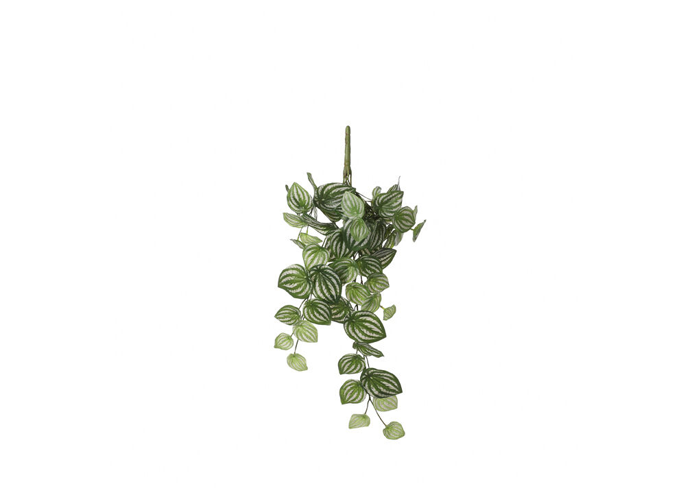 Planta artificial suspensa PEPEROMIA marca MYCA