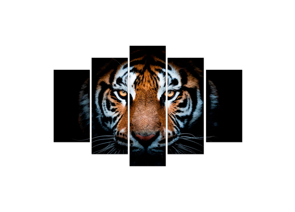 Tela 5 peças TIGER marca CONFORAMA