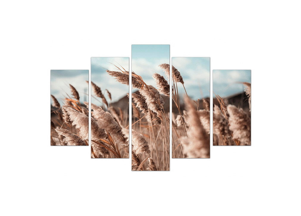 Tela 5 peças NATURE marca CONFORAMA