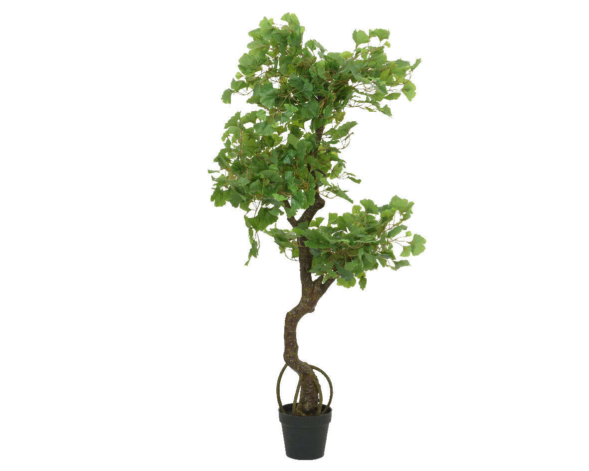 Planta artificial GINKO marca EVERLANDS FLOWERS AND PLANTS