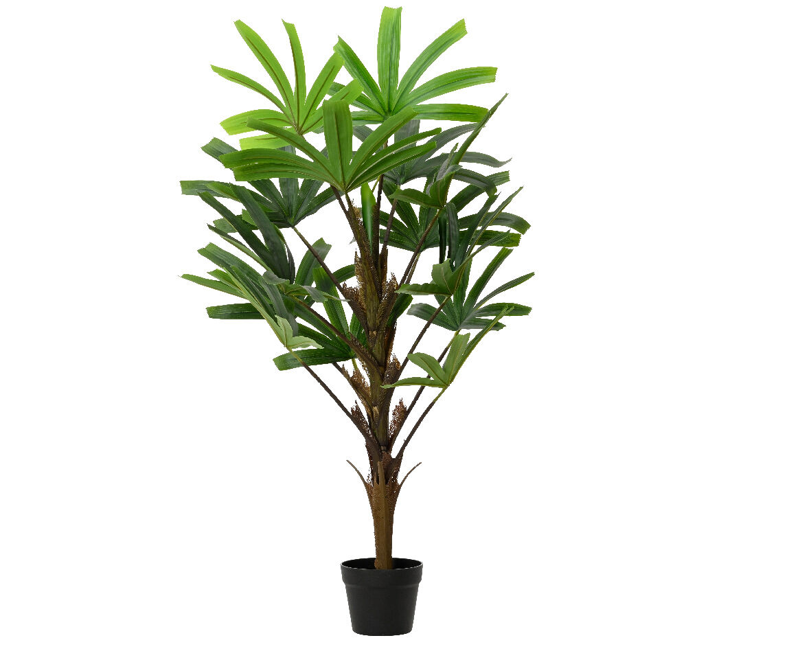 Planta artificial RHAPIS marca EVERLANDS FLOWERS AND PLANTS