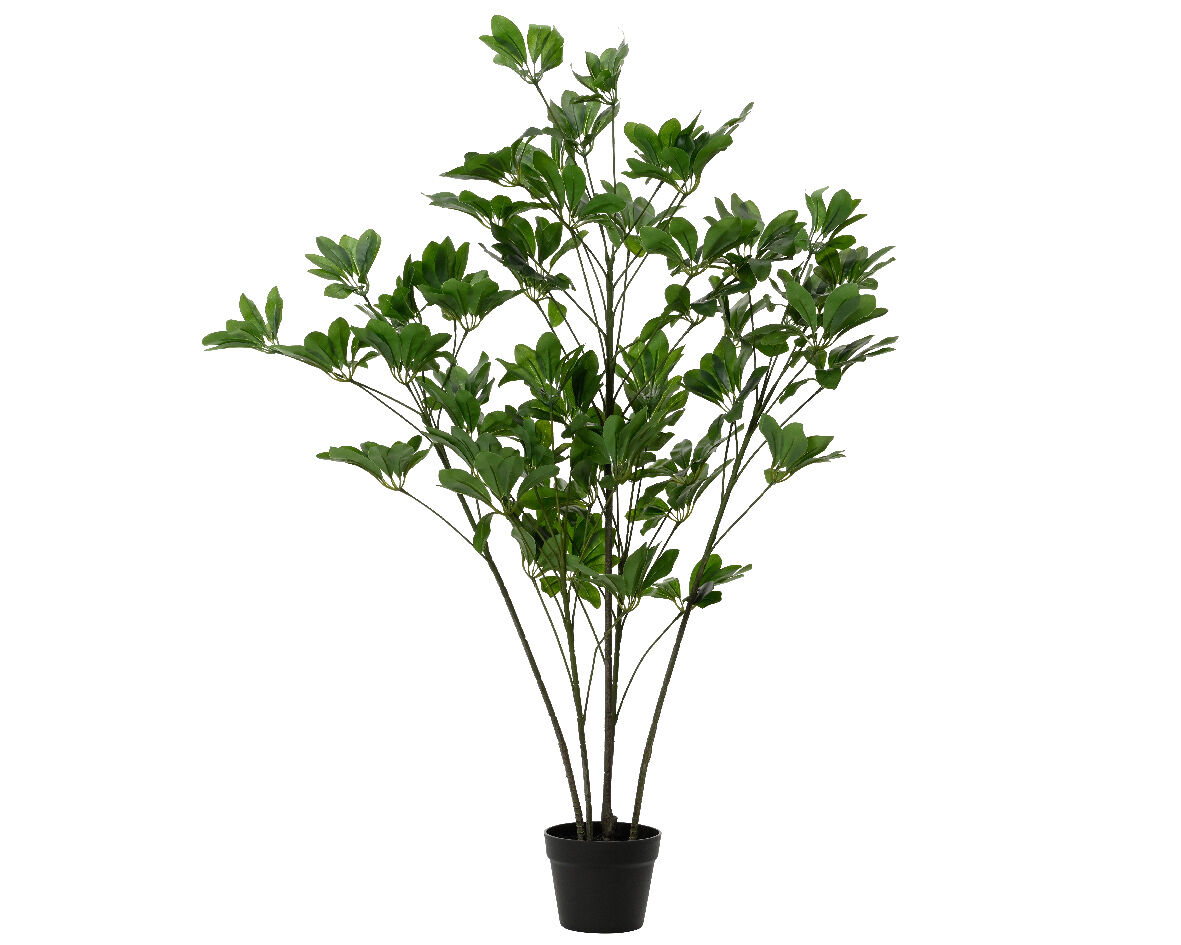 Planta artificial SCHEFFLERA marca EVERLANDS FLOWERS AND PLANTS