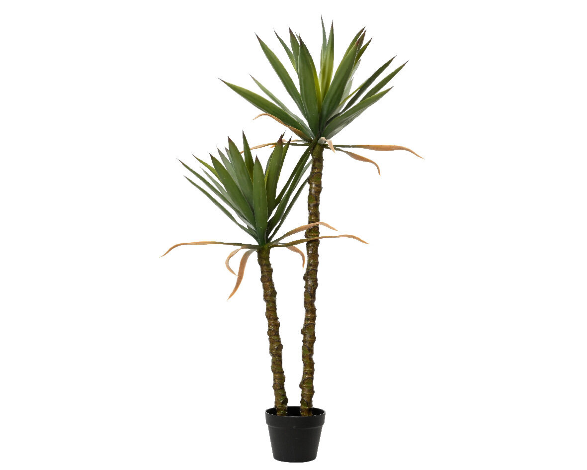 Planta artificial ARBOL SISAL marca EVERLANDS FLOWERS AND PLANTS