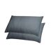 Pack de 2 almofadas VISCO ACTI CARBON 60cm Pack de 2 almofadas VISCO ACTI CARBON 60cm Branco