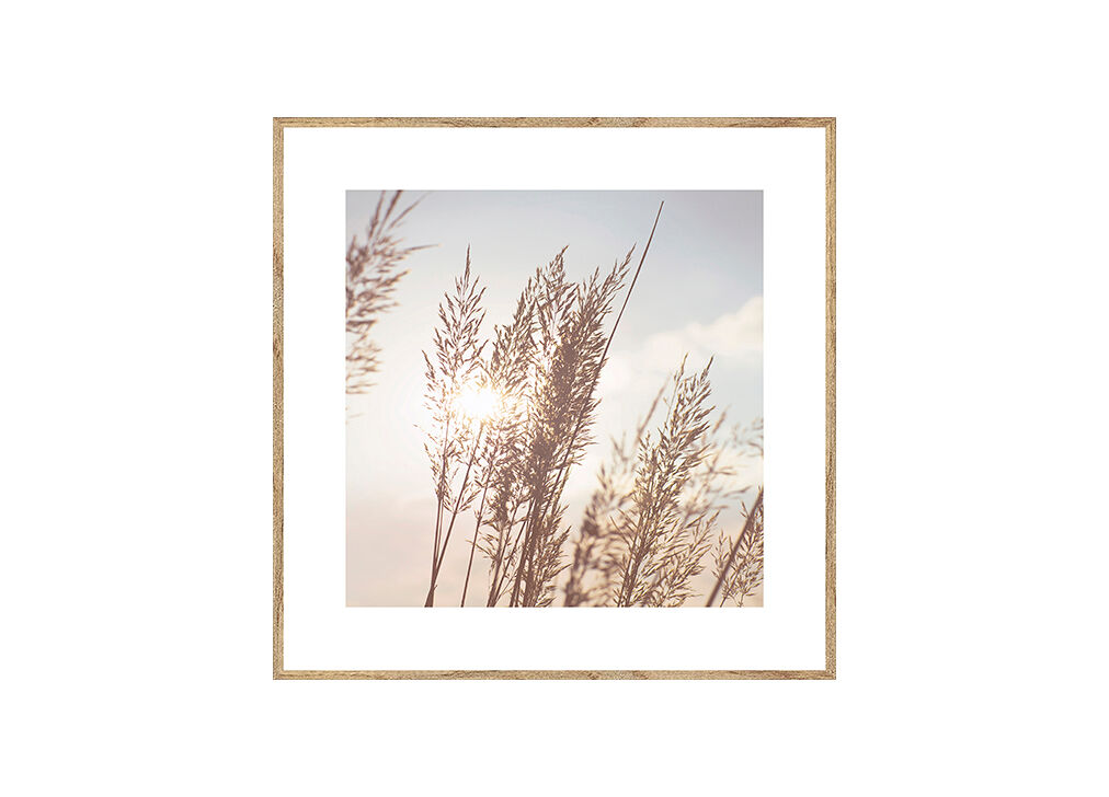 Quadro HOJAS DE TRIGO 35x35cm marca MARCOMUEBLE