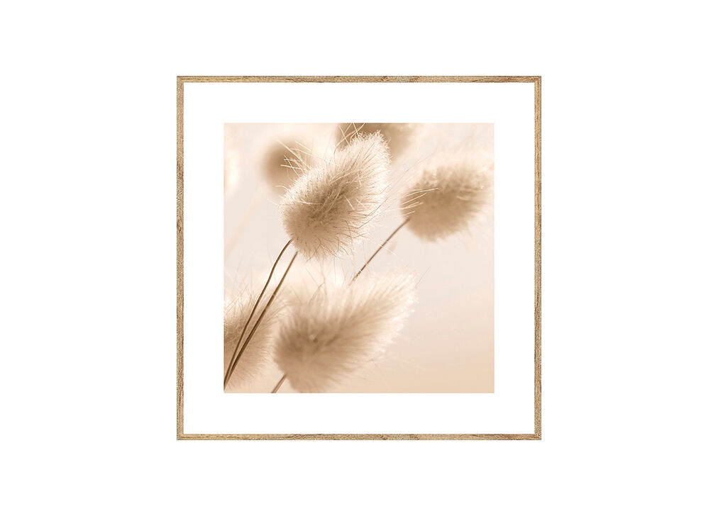 Quadro PLANTA 35x35cm marca MARCOMUEBLE