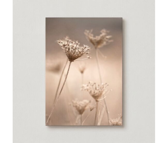 Quadro flores silvestres 50x70cm marca conforama - conforama