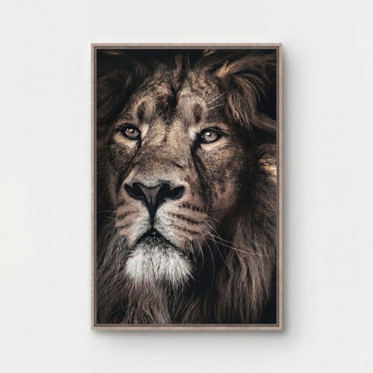 Quadro león majestuoso 60x90cm marca conforama - conforama