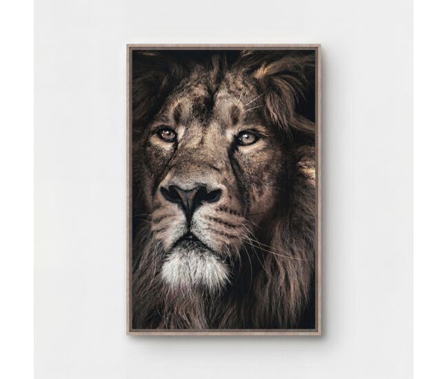 Quadro león majestuoso 60x90cm marca conforama - conforama