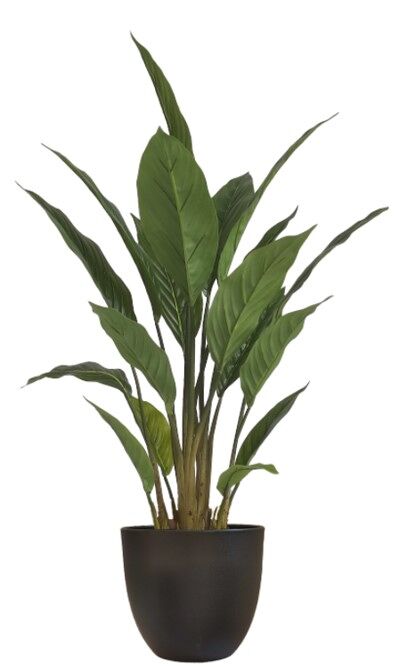 Conforama Planta Artificial Strelitzia 70Cm Marca Verde