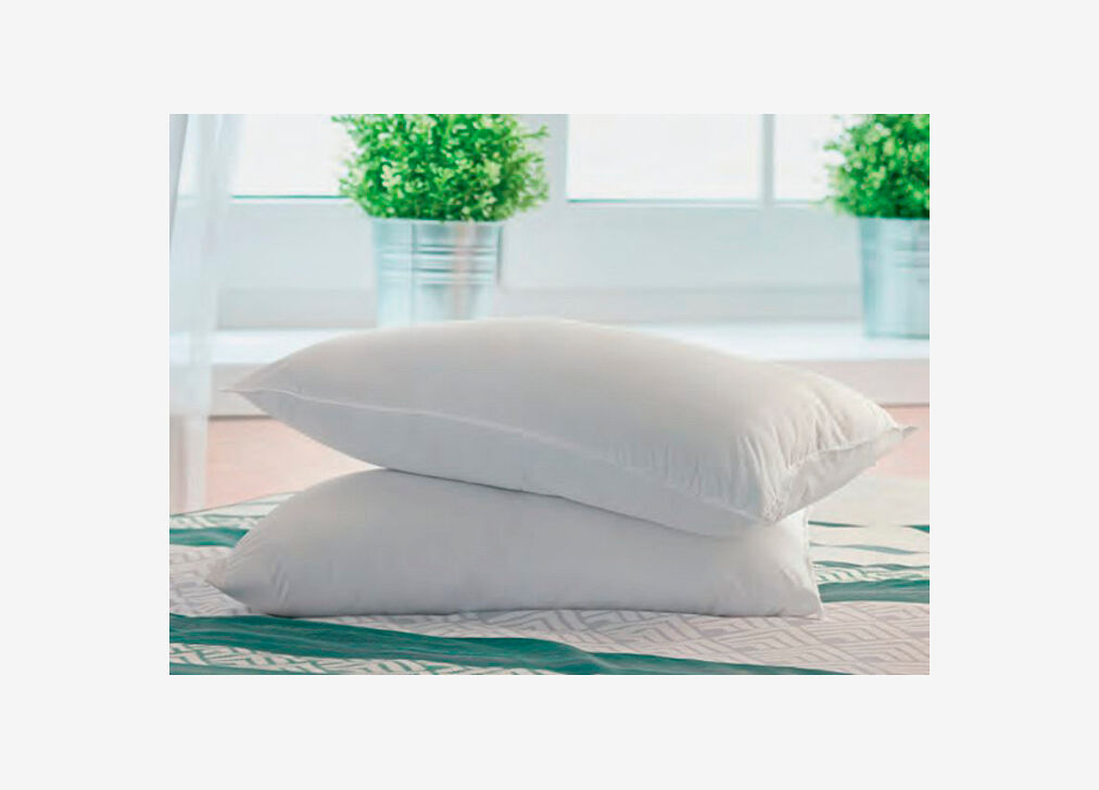 Pack 2 almofadas SLEEP 60cm de medida