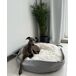 Beliani Cama para animais de estimação DALAMAN Beliani Cama para animais de estimação DALAMAN Cinza