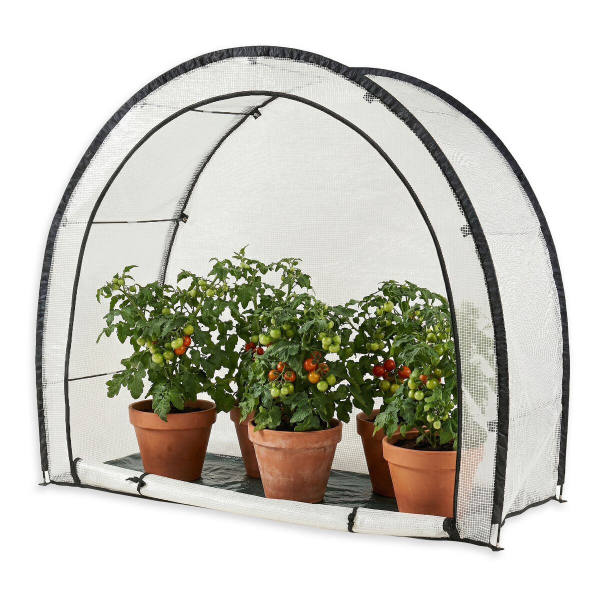 Estufa de tomate em folha larshasas plástico 180x80x170 cm transparente [en.casa]