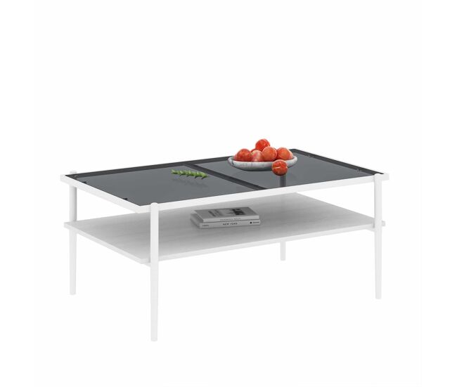 Mesa de centro 97,5 x 61,5 cm - vidro temperado, pés de metal, estilo moderno - cinza + branco