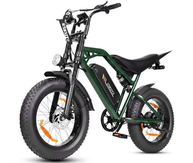 Moto électrique | eskute v202 | 250w 48v20.8ah 20x4 travões mecânicos - verde