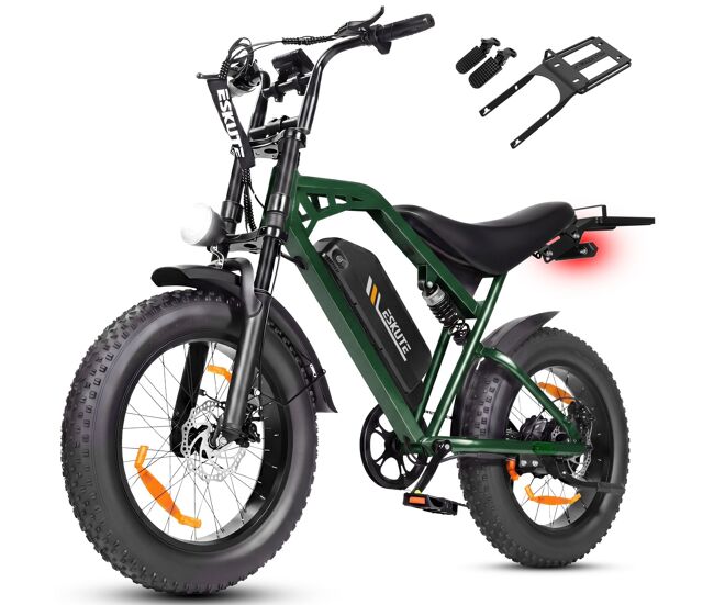 Moto électrique | eskute v202 | 250w 48v20.8ah 20x4 travões de disco mecânicos acessórios - verde