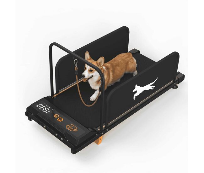 Passadeira para cães de pequeno porte - treino silencioso e portable para animais de estimação, machine de fitness para interior, edição 2026 - noir