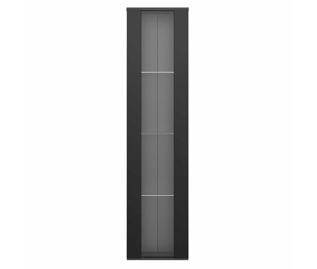 Vitrine multifuncional 40x29x170 cm - painel de vidro, luz led com mudança de cor, controle remoto, design simples - noir