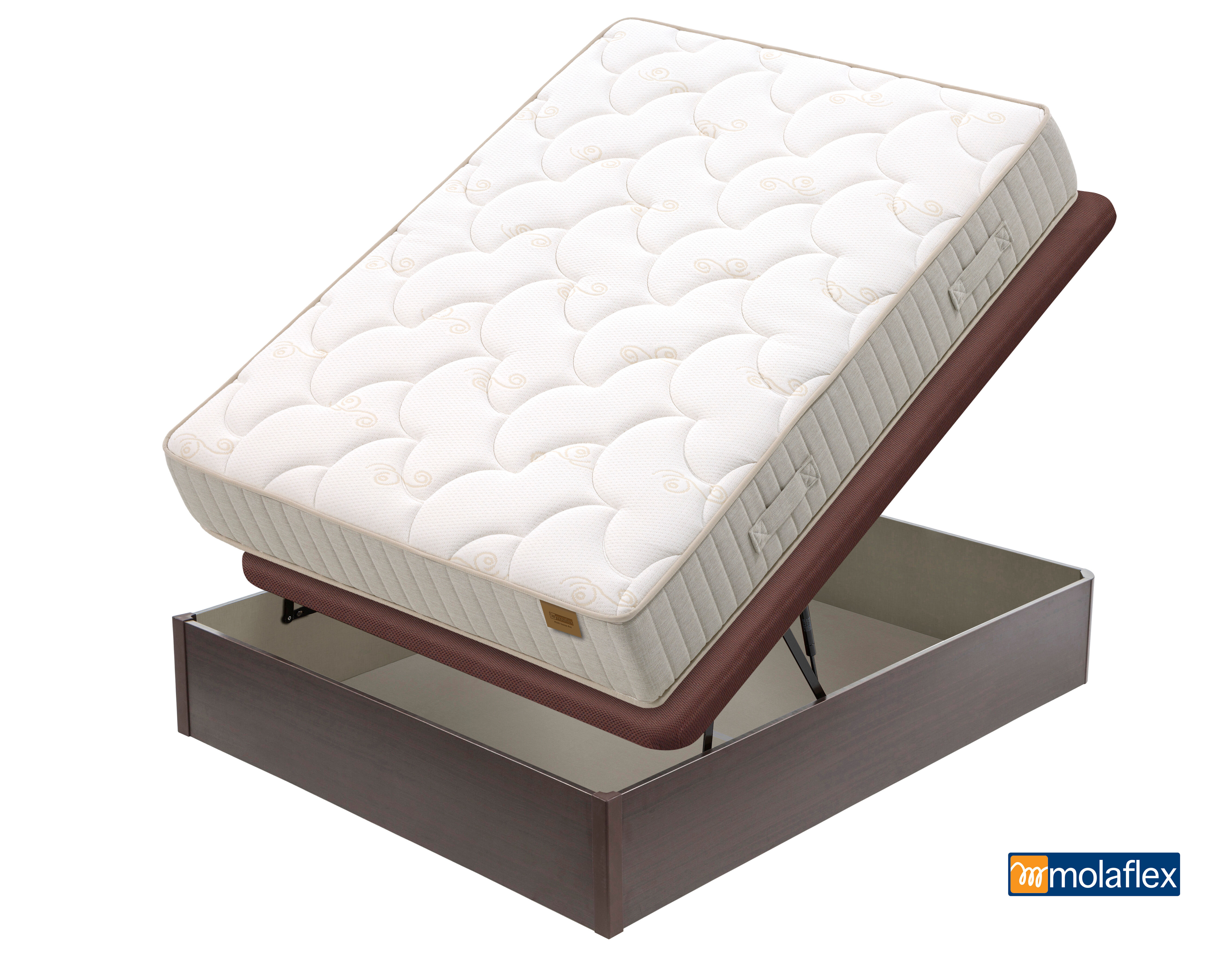 Pack MULTI SENSE PRO cor wengue MOLAFLEX