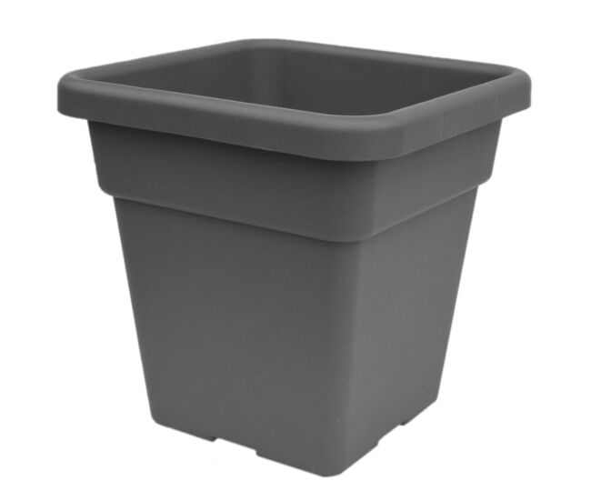 Maxi motes 38 cm