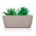 Varanda Jardinera Splofy Case 4L Varanda Jardinera Splofy Case 4L Bege