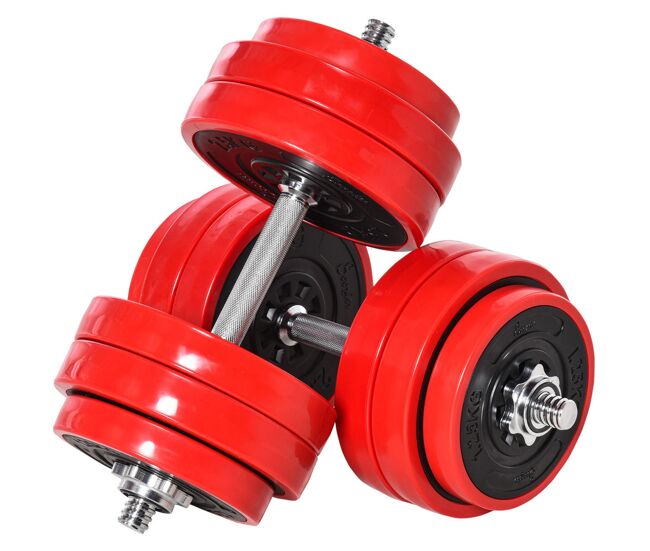 Homcom conjunto de halteres 30kg ajustáveis 2 em 1 com barras e extensor para treinamento de força levantamento de pesos casa academia escritórios noir e rouge