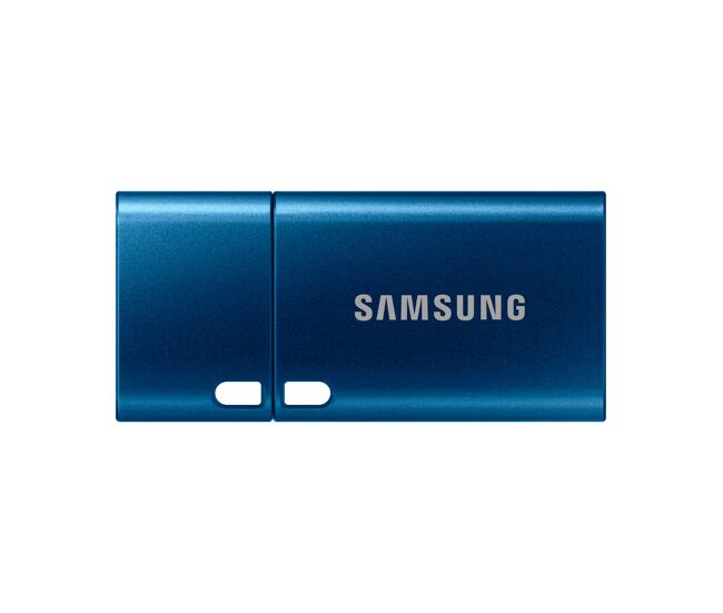 Samsung MUF-256DA lecteur USB flash 256 Go USB Type-C 3.2 Gen 1 (3.1 Gen 1) Bleu