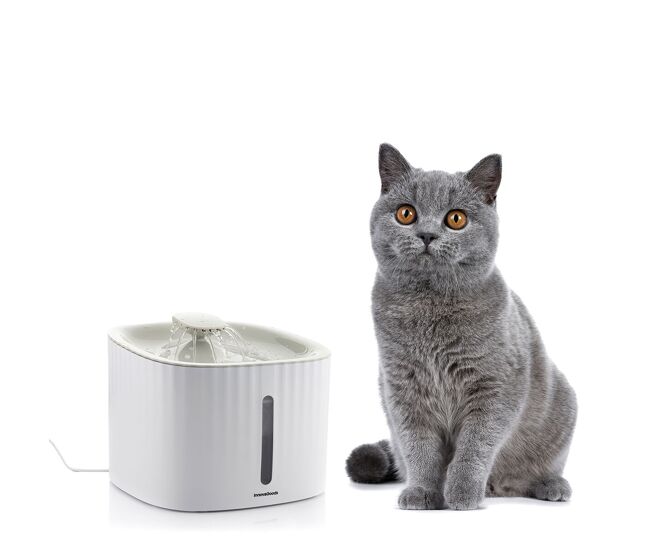 Fonte para animais de estimação drinkatt innovagoods
