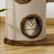 Árvore Arranhador Gatos Árvore Arranhador Gatos Castanho