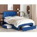 Beliani Cama con cajones Terciopelo LIEVIN 145x217 Beliani Cama con cajones Terciopelo LIEVIN 145x217 Azul Marino