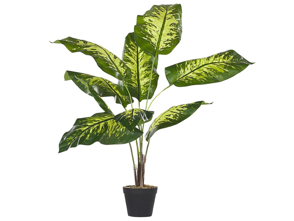 Beliani Planta artificial DIEFFENBACHIA