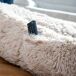 Cama de Cães para Humanos | Human Dog Bed XXL Cama de Cães para Humanos | Human Dog Bed XXL Bege