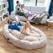 Cama de Cães para Humanos | Human Dog Bed XXL Cama de Cães para Humanos | Human Dog Bed XXL Bege