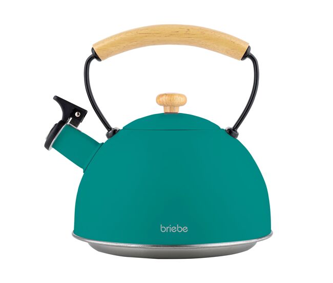 Briebe nordic bouilloire de indução com apito, 2,3 l, acier inox, vitrocerâmica, gás, cabo de madeira, , verde