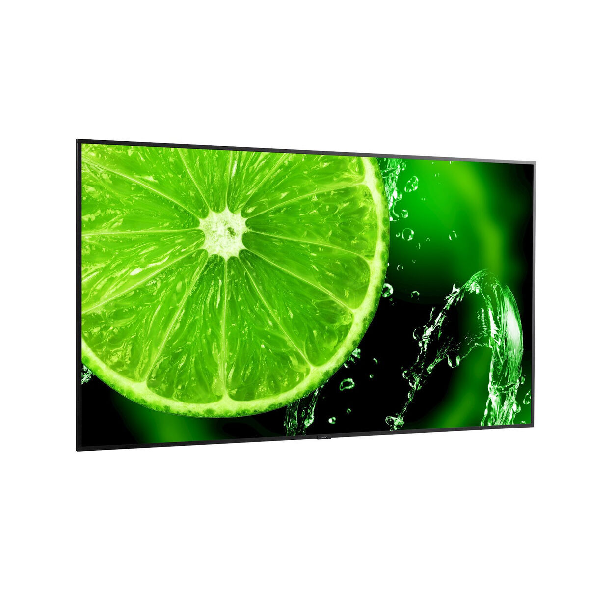 Monitor E868