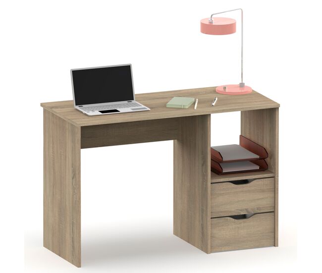 Briebe prakt escrivaninha, mesa de computador 76x115x50cm, 2 gavetas, escritório, quarto juvenil, , madeira