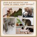 Arranhador para Gatos Aglomerado de Madeira, Poliéster e Sisal Arranhador para Gatos Aglomerado de Madeira, Poliéster e Sisal Cru
