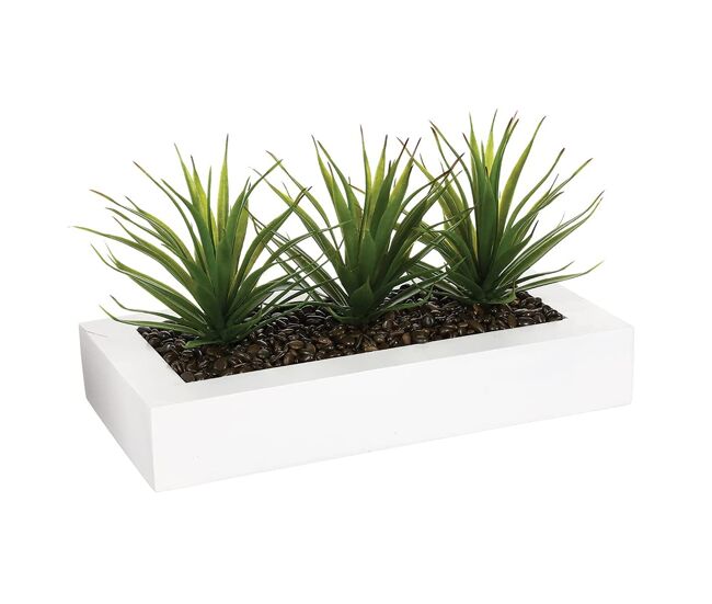 Well home - centro decorativo com 3 plantas de aloe vera alt.17cm