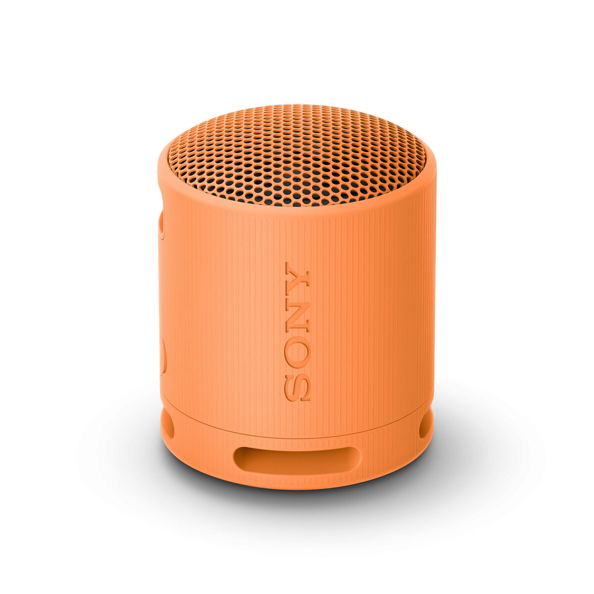 Altifalante Bluetooth Portátil SRS-XB100