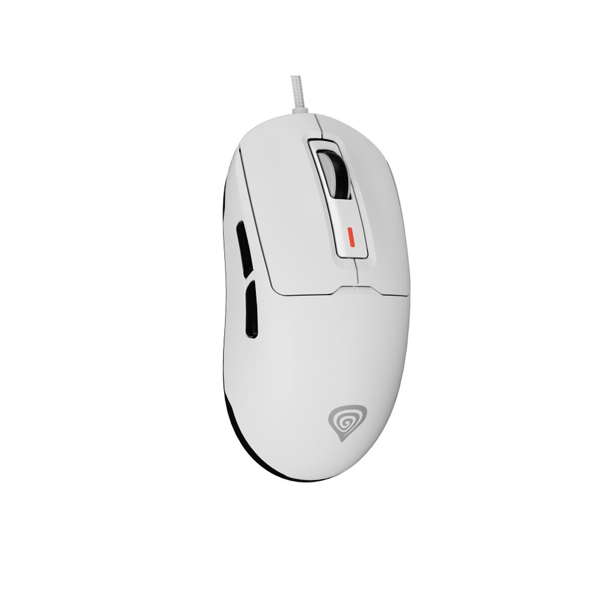 Rato NMG-2190