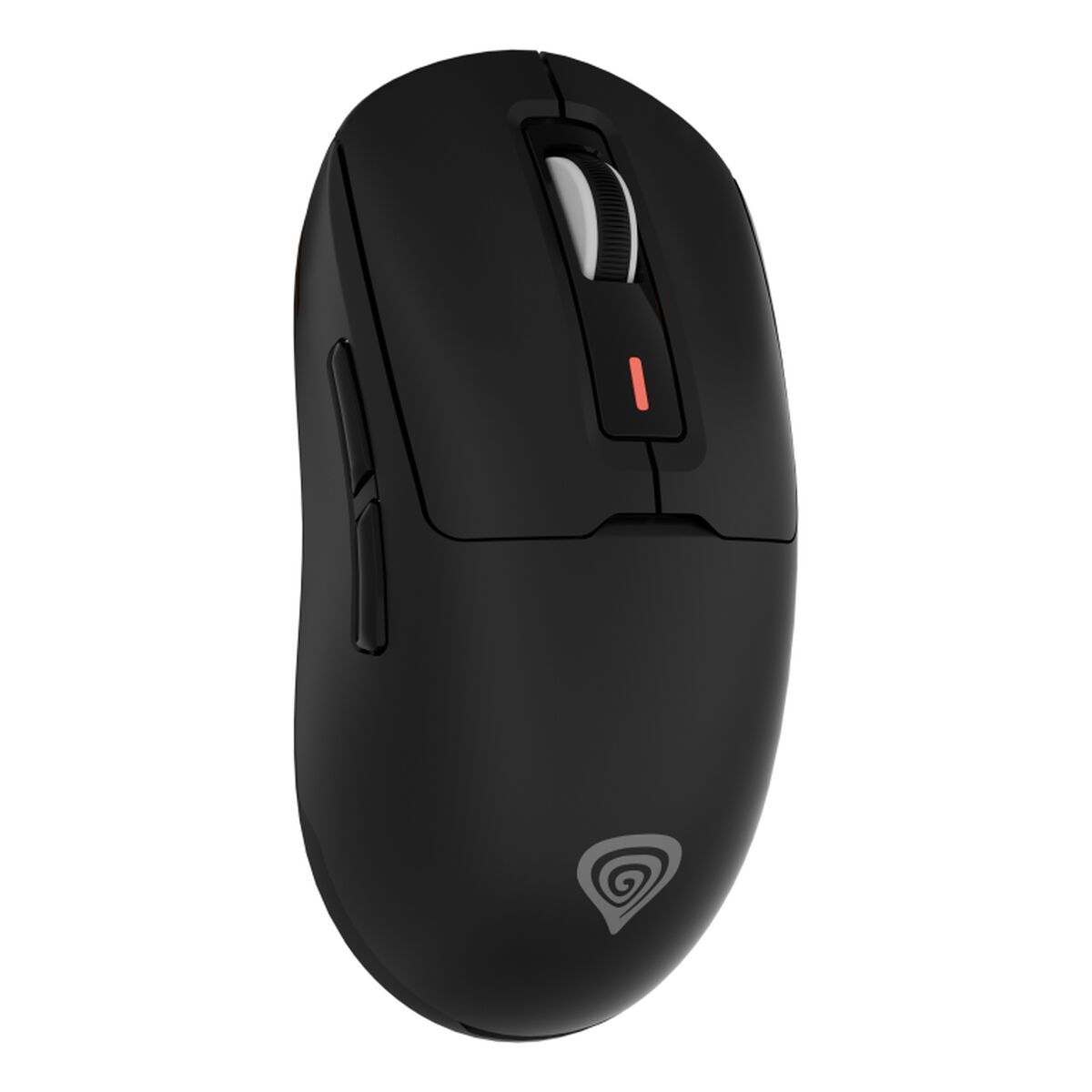 Rato NMG-2191