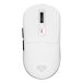 Rato Zircon 660 Rato Zircon 660 Branco