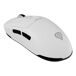 Rato Zircon 660 Rato Zircon 660 Branco