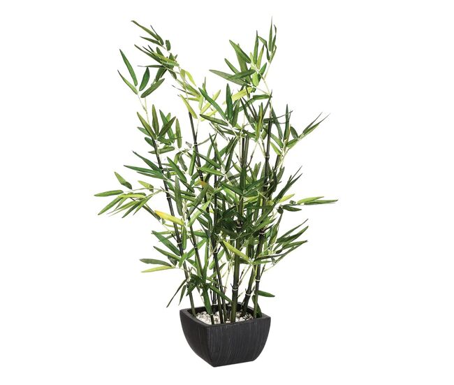 Well home - bambu artificial em vaso