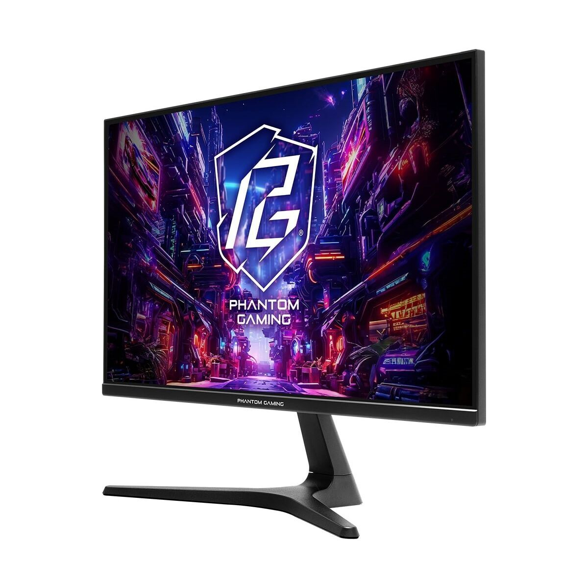 Monitor PG25FFT