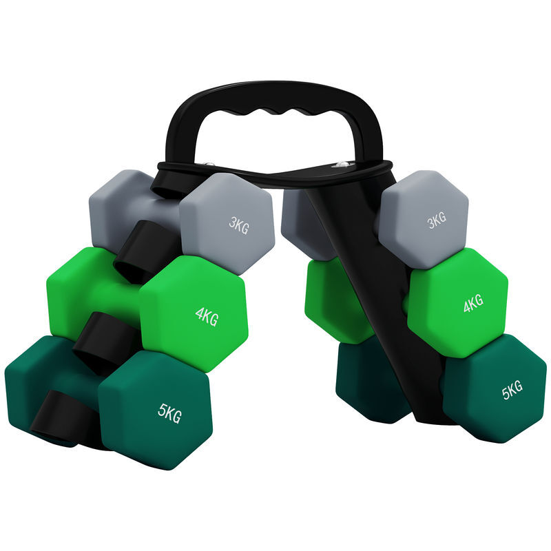 Sportnow conjunto de halteres 2 x 3kg 2 x 4kg e 2 x 5kg halteres hexagonais com suporte de armazenamento para treino em casa ginásio multicor