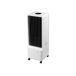 Climatizador Evaporativo com sistema de arrefecimento de água permanente Climatizador Evaporativo com sistema de arrefecimento de água permanente Branco