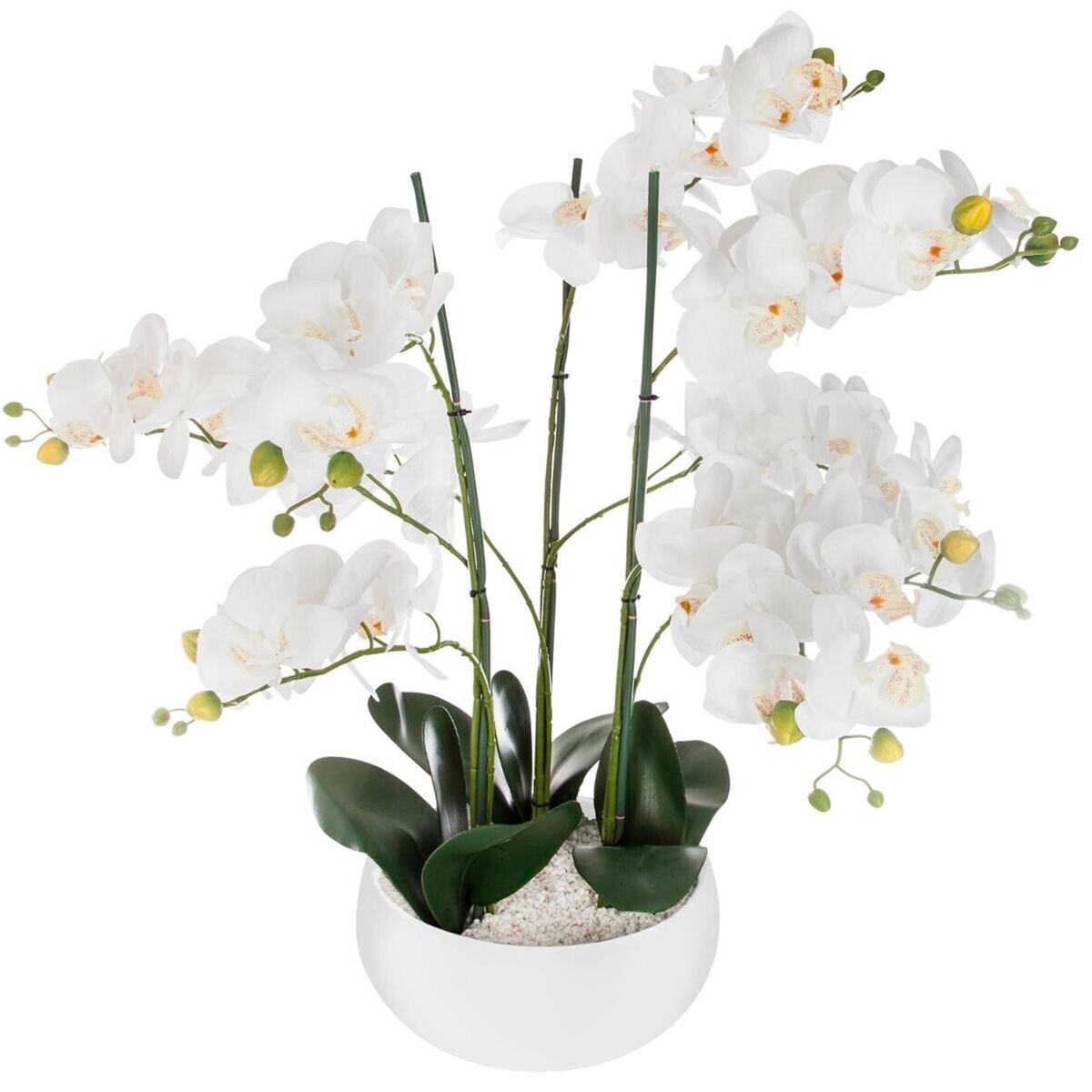 Well home - orquídea em vaso de cerâmica branca h65
